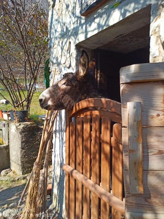 Agriturismo Cascina Gervasoni San Giovanni Bianco Exterior foto